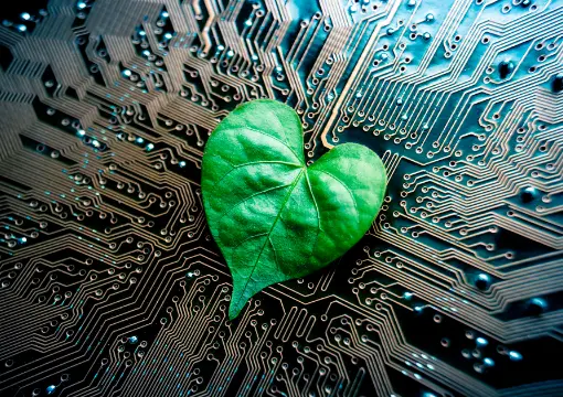 华体会体育案例